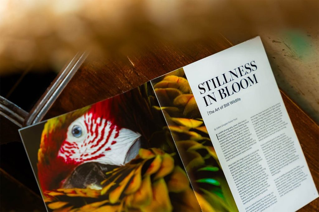 pages of Frammenti article